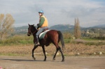 MAT_4351
