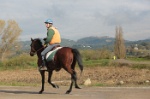 MAT_4352