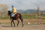 MAT_4353