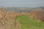 MAT_4354