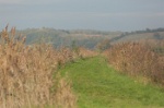 MAT_4355