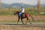 MAT_4358