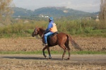 MAT_4359