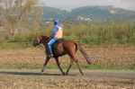 MAT_4360