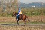 MAT_4361