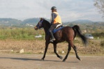 MAT_4363