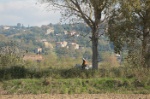 MAT_4390
