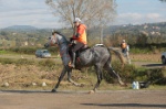 MAT_4392