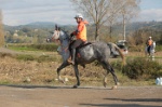 MAT_4393