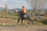 MAT_4394