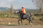 MAT_4395