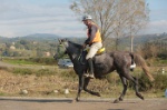 MAT_4396