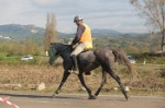 MAT_4398