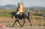MAT_4400