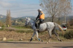 MAT_4401