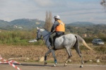 MAT_4404