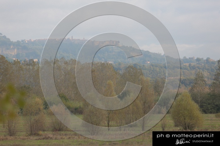 MAT_4318.JPG