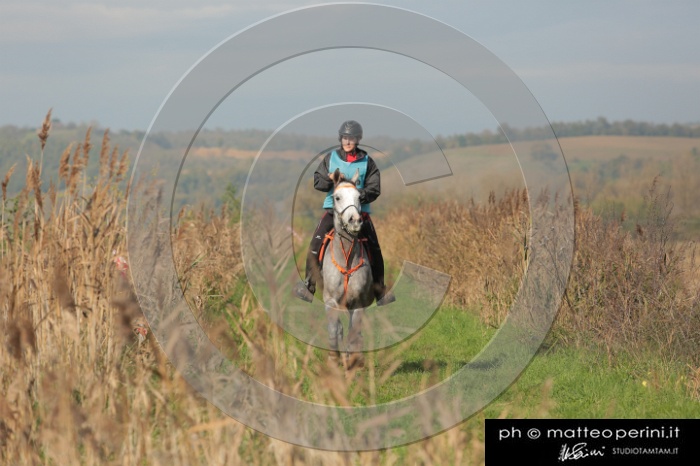 MAT_4370.JPG