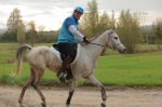 MAT_4003