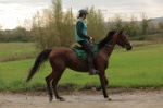 MAT_4019