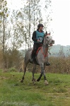 MAT_4266