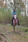 MAT_4302