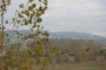 MAT_4316