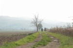 MAT_4348