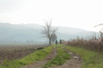 MAT_4349