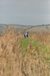 MAT_4406