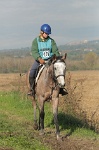 MAT_4459