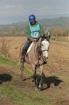 MAT_4462