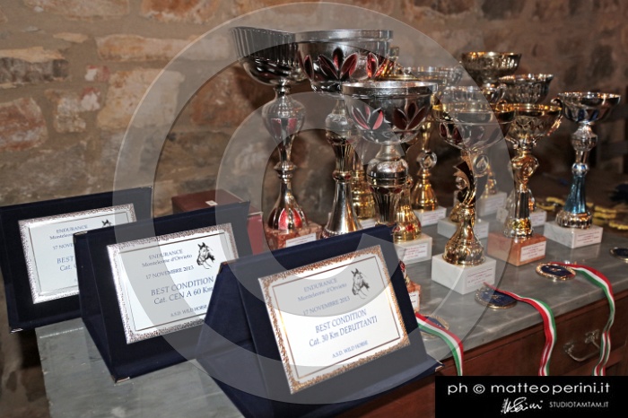 MAT_4469.JPG