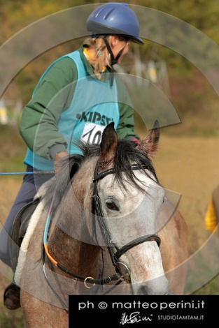 MAT_4332.jpg