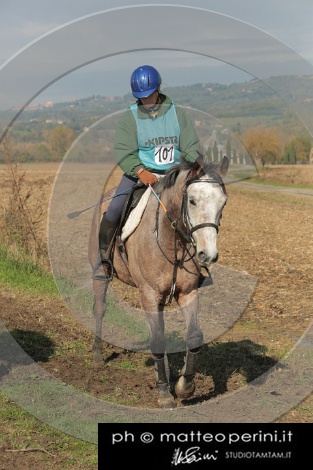 MAT_4462.JPG
