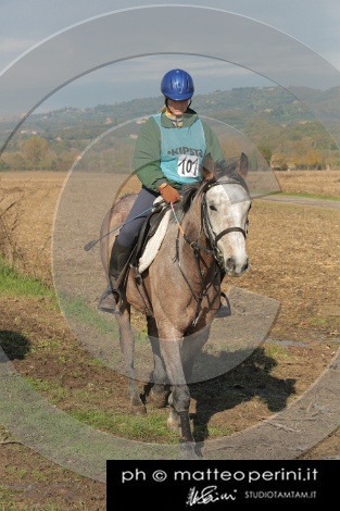 MAT_4463.JPG