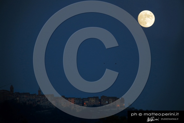 monteleone_MAT_3624.jpg