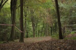MAT_0348