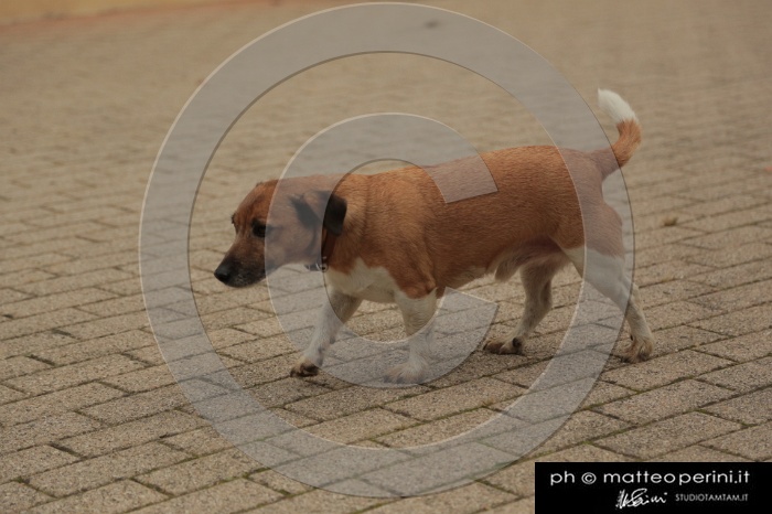 MAT_0421.JPG
