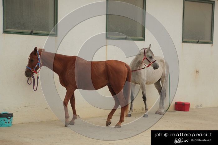 MAT_0438.JPG