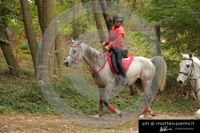 MAT_0815.JPG