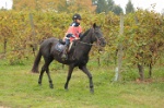 MAT_0593