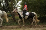 MAT_1374
