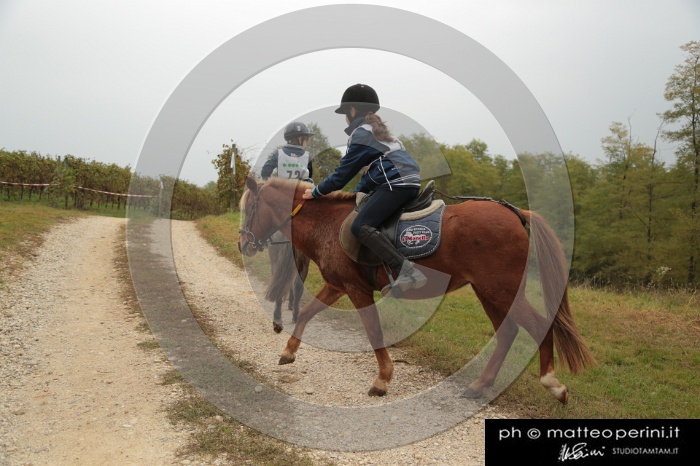 MAT_0515.JPG