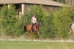 MAT_4301