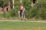 MAT_4457