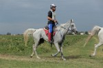 MAT_5349