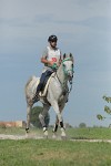 MAT_5003