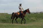 MAT_5434