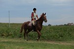 MAT_5555